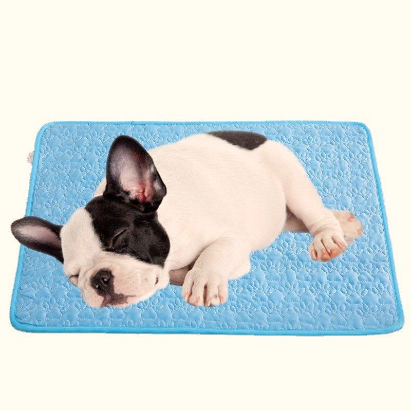 French bulldog on the printed mat