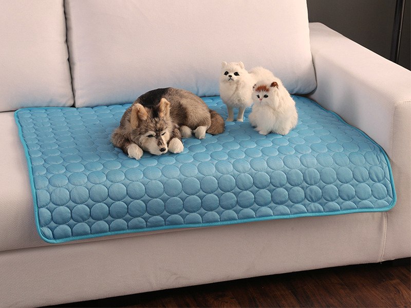 Dog and cats resting on a blue cooling mat on a sofa